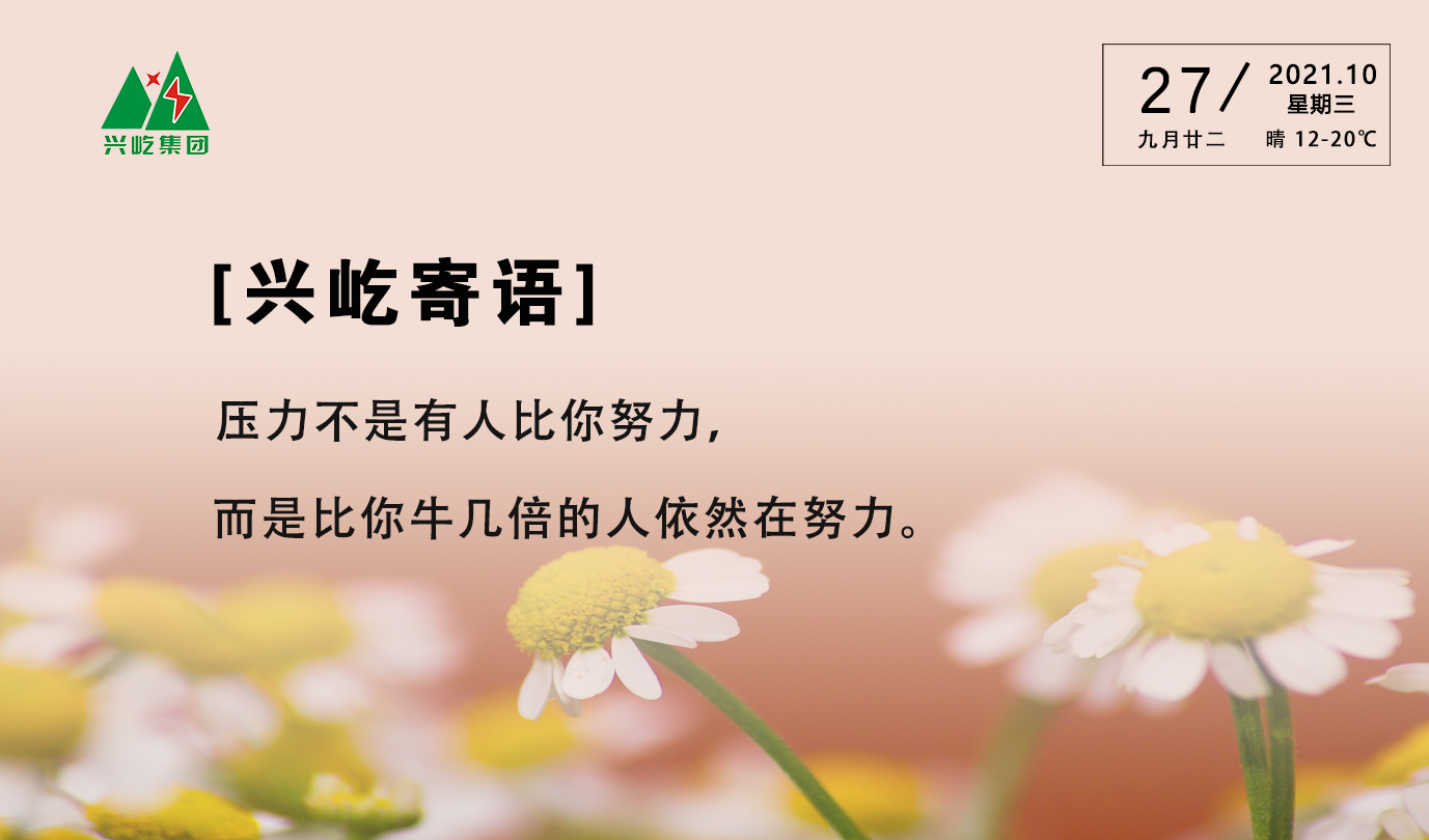 ����� -jinnianhui | jinnian