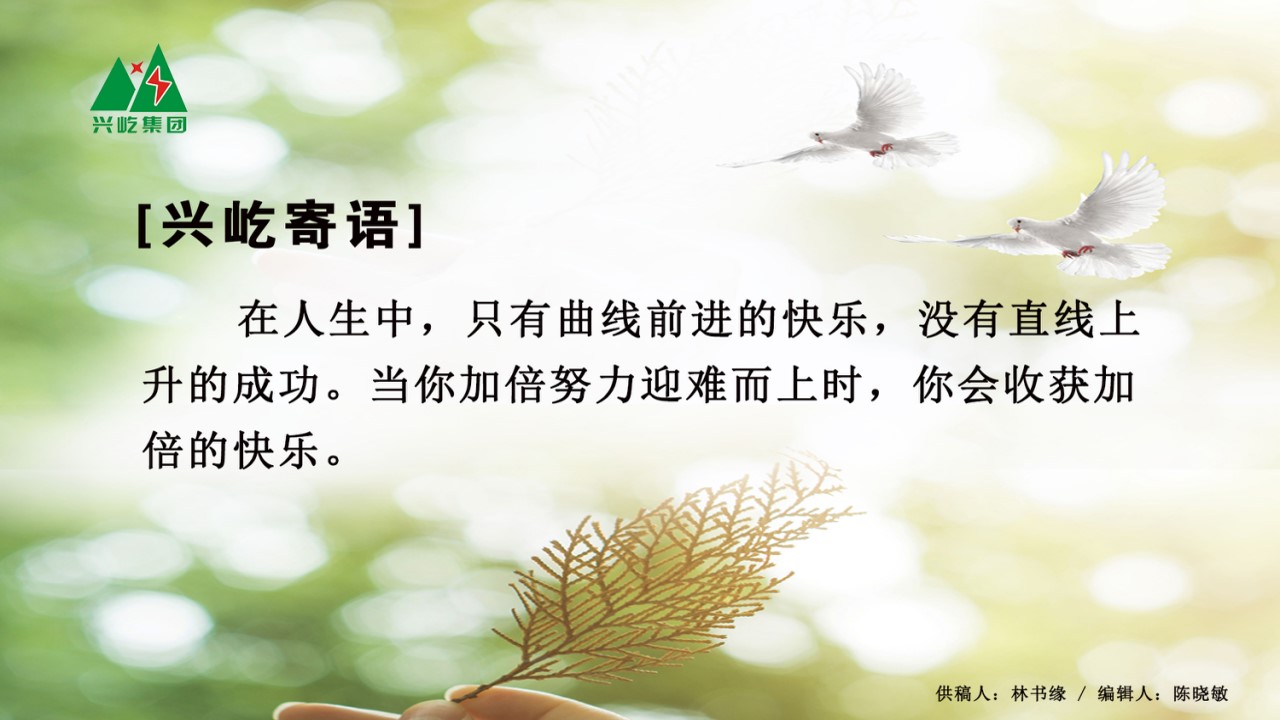 ����� -jinnianhui | jinnian