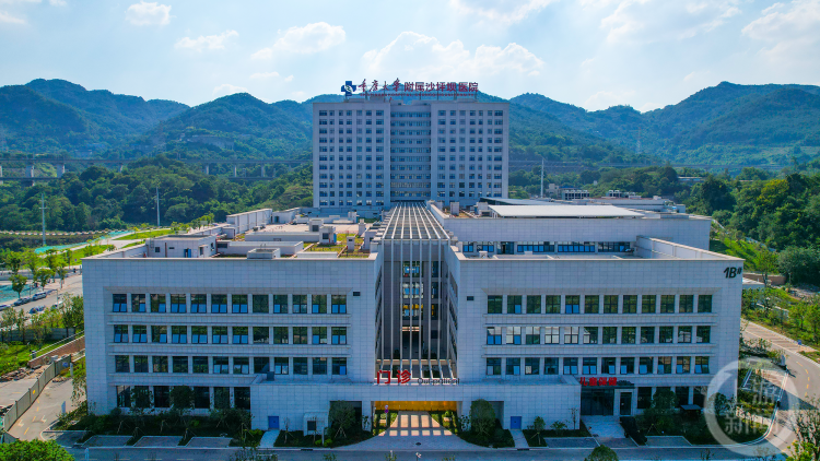 ����� -jinnianhui | jinnian