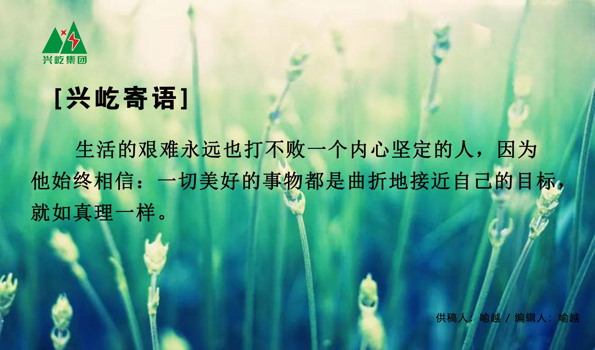 ����� -jinnianhui | jinnian